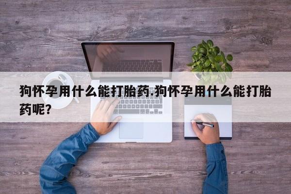 米非米索在线付款狗怀孕用什么能打胎药.狗怀孕用什么能打胎药呢？