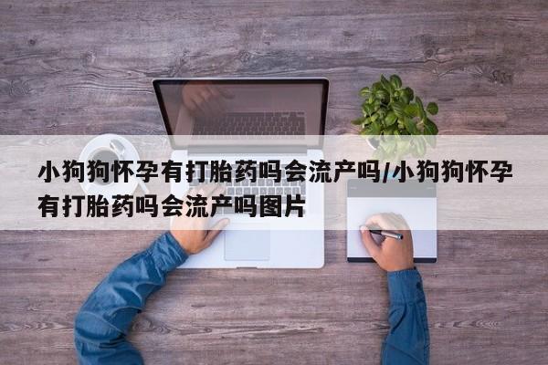 米非米索在线付款小狗狗怀孕有打胎药吗会流产吗/小狗狗怀孕有打胎药吗会流产吗图片