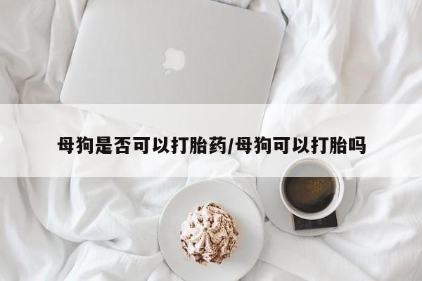 米非米索在线付款母狗是否可以打胎药/母狗可以打胎吗